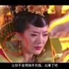 管家婆生肖更新
